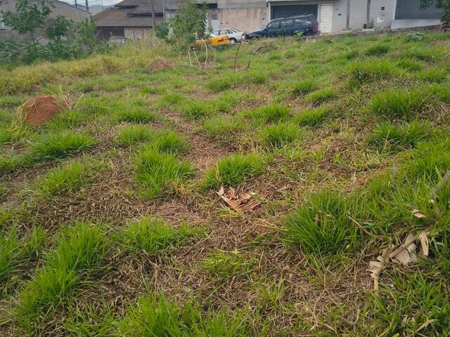 #5 - Área para Venda em Bragança Paulista - SP - 3